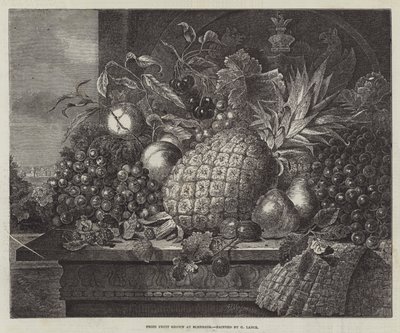 Frutta premiata coltivata a Blenheim da John Wykeham Archer